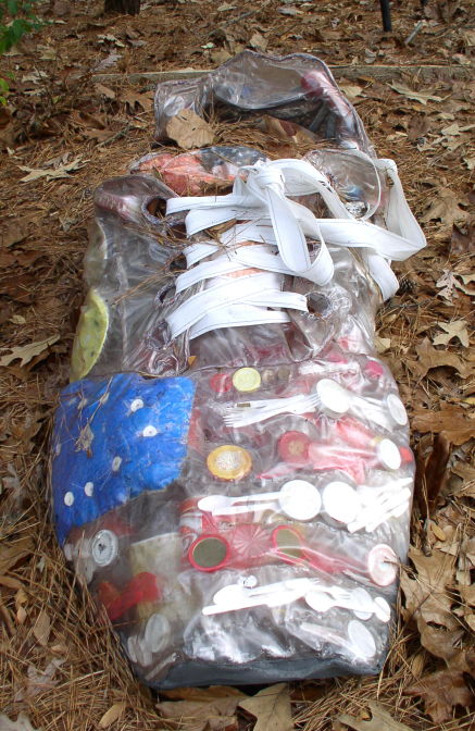 Sneaker for the Republican Environment