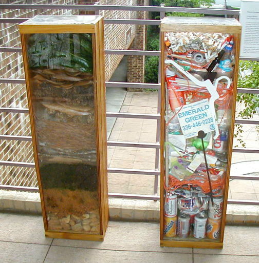 Compost Mentis/Non-compost Mentis